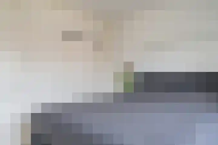 Entingestraat 13 Sleen thumbnail 33