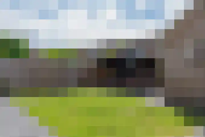 Entingestraat 13 Sleen thumbnail 39
