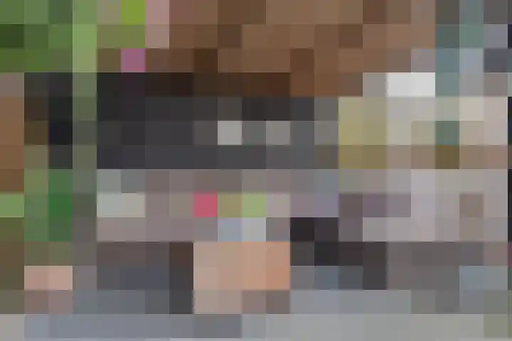 Entingestraat 13 Sleen thumbnail 40