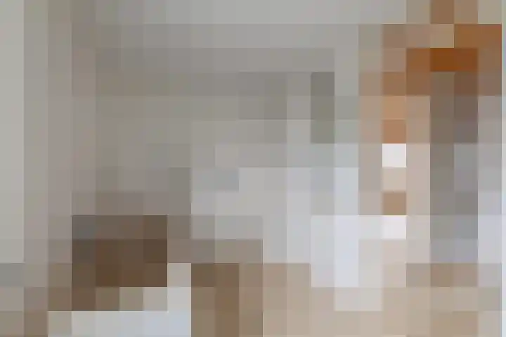 Entingestraat 9 Sleen thumbnail 25
