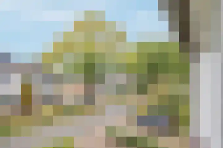 Entingestraat 9 Sleen thumbnail 30