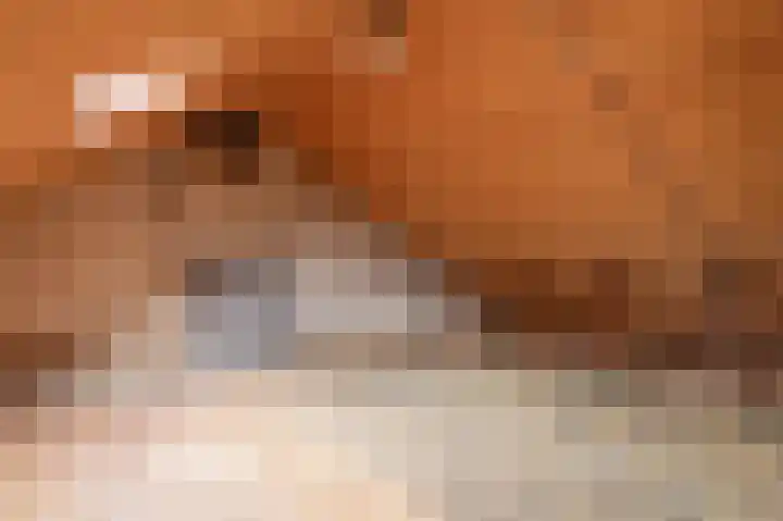 Entingestraat 9 Sleen thumbnail 33