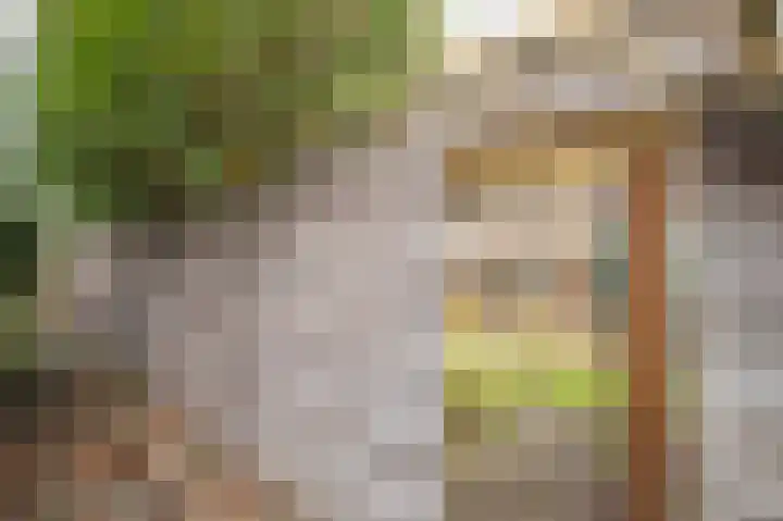 Entingestraat 9 Sleen thumbnail 40