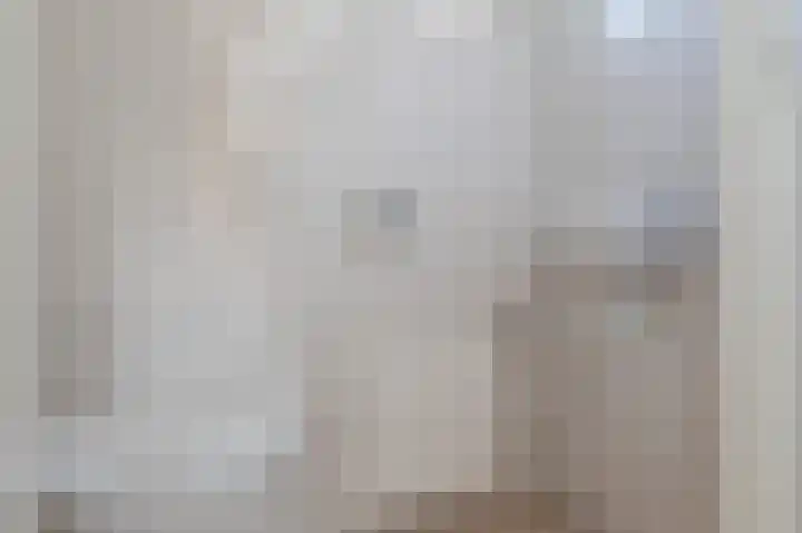 Entingestraat 9 Sleen thumbnail 8
