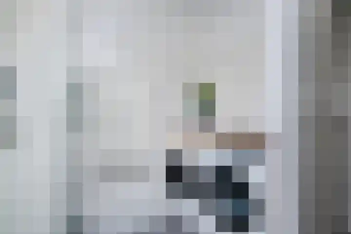 Entingheweg 2 Dwingeloo thumbnail 19