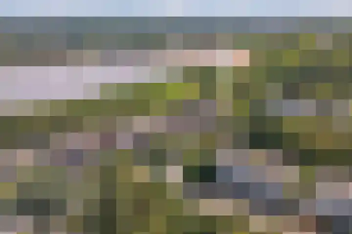 Entingheweg 2 Dwingeloo foto 2