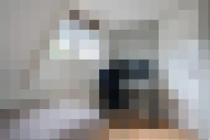 Entingheweg 2 Dwingeloo thumbnail 26