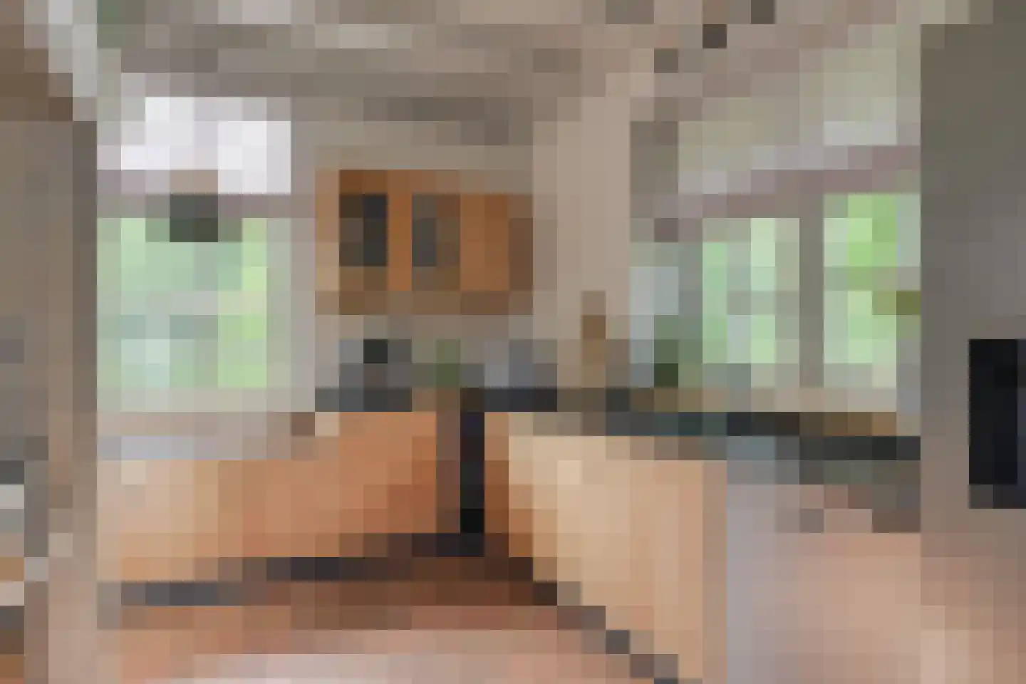Entinkweg 5 Heelweg thumbnail 21