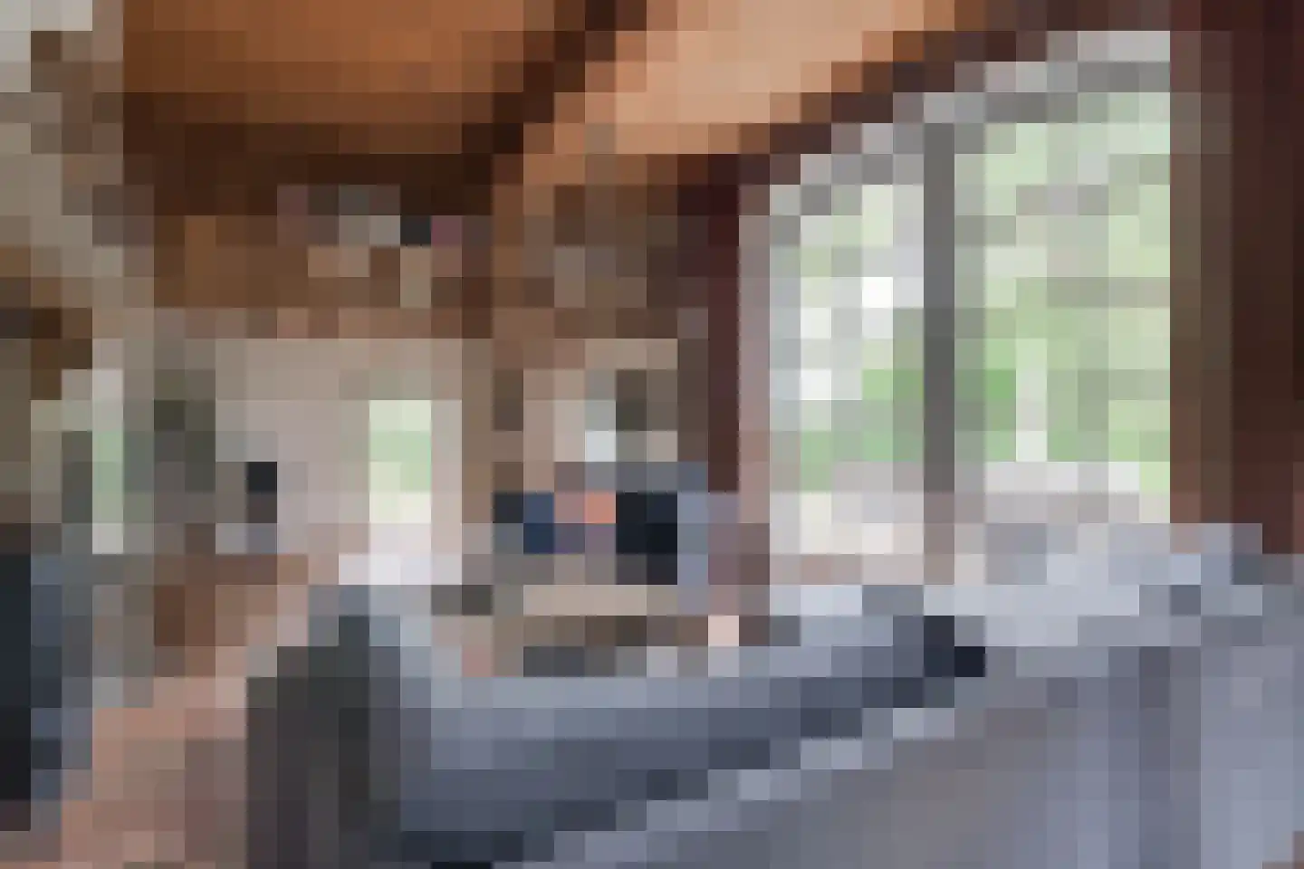 Entinkweg 5 Heelweg thumbnail 27