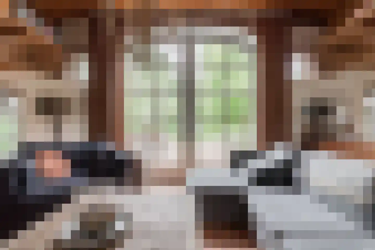 Entinkweg 5 Heelweg thumbnail 30