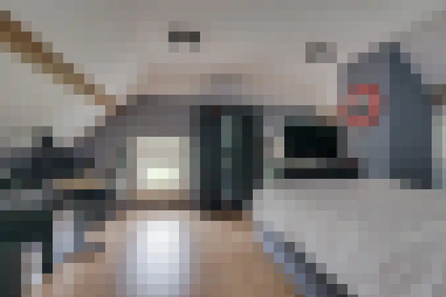 Entinkweg 5 Heelweg thumbnail 42
