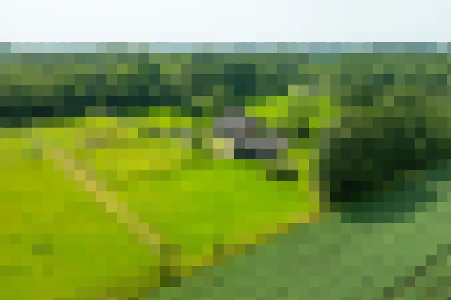 Entinkweg 5 Heelweg thumbnail 46