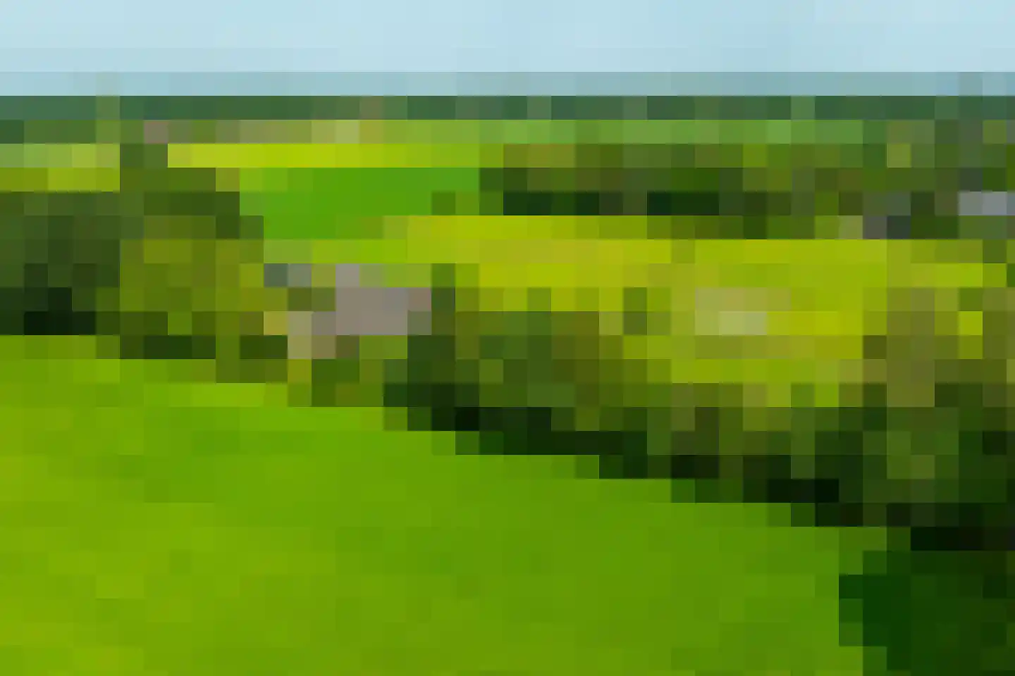 Entinkweg 5 Heelweg thumbnail 47