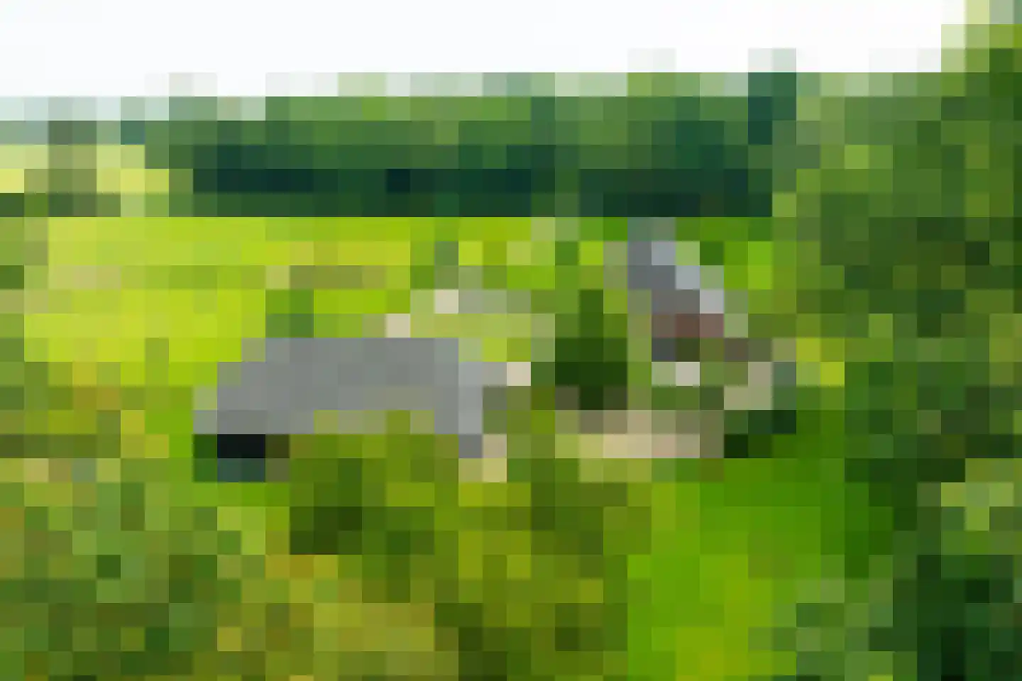 Entinkweg 5 Heelweg thumbnail 58