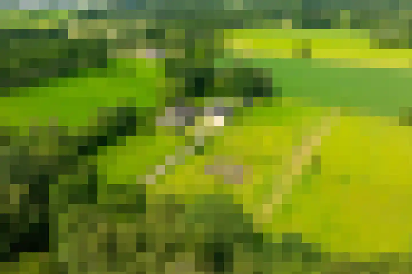 Entinkweg 5 Heelweg thumbnail 6