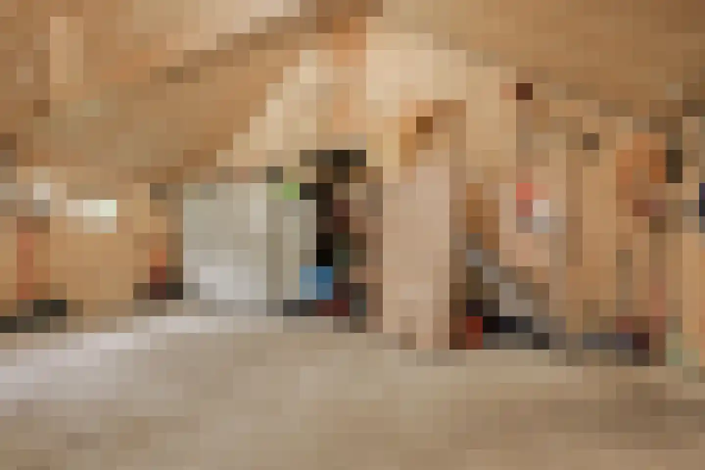 Entinkweg 5 Heelweg thumbnail 62