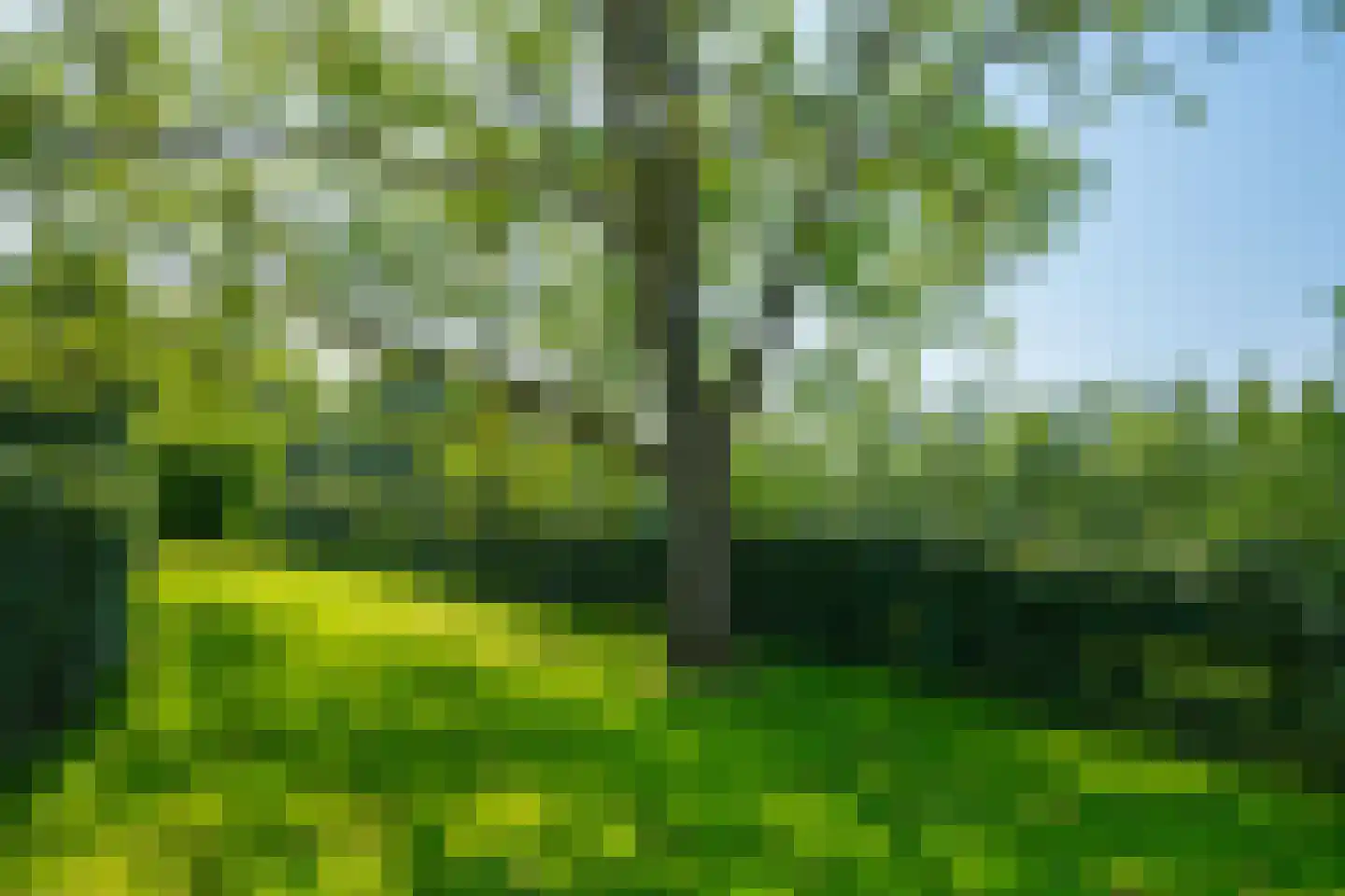 Entinkweg 5 Heelweg thumbnail 64