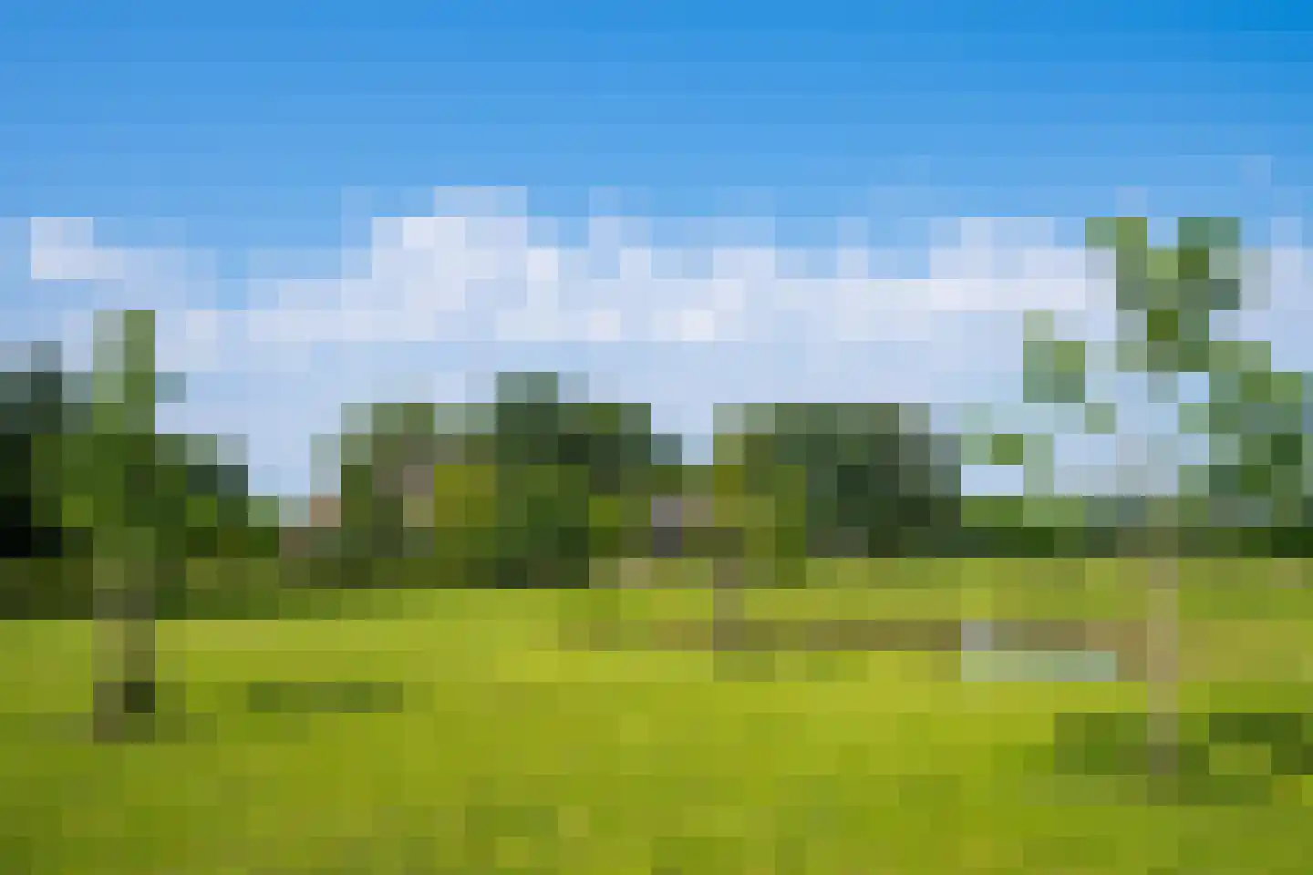 Entinkweg 5 Heelweg thumbnail 65