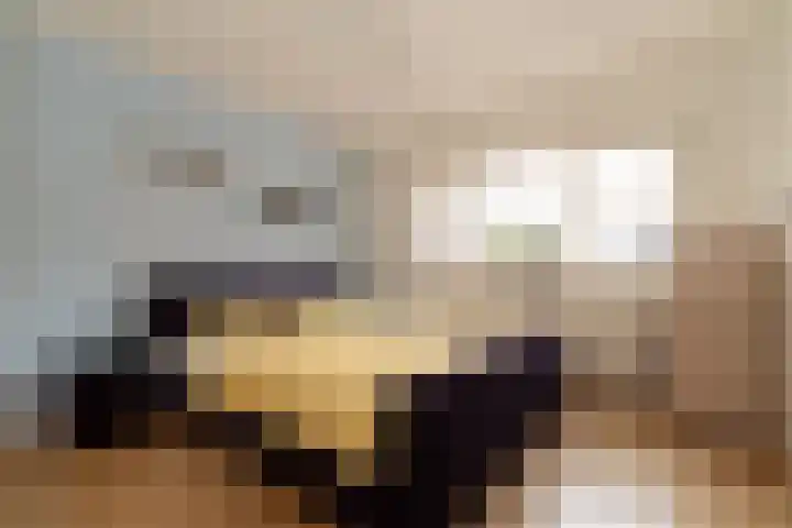 Entoshof 36 Rijssen thumbnail 23
