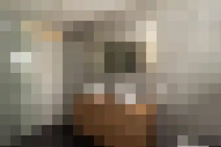 Entoshof 36 Rijssen thumbnail 26