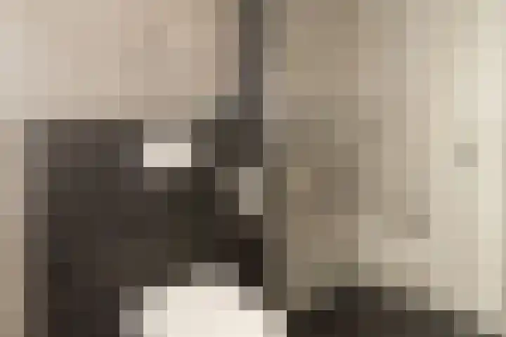 Entoshof 36 Rijssen thumbnail 29
