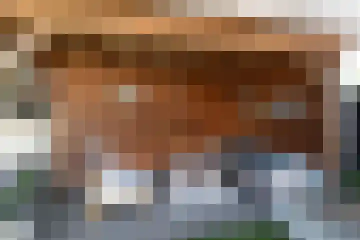 Entoshof 36 Rijssen thumbnail 39