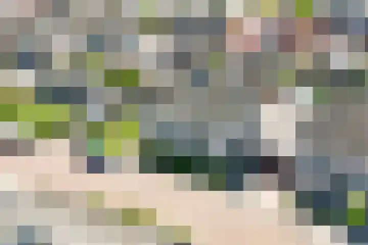 Entoshof 36 Rijssen thumbnail 49