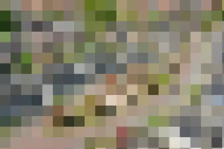 Entoshof 36 Rijssen thumbnail 50