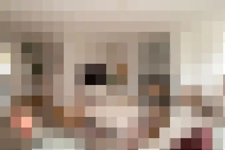 Entoshof 36 Rijssen thumbnail 9