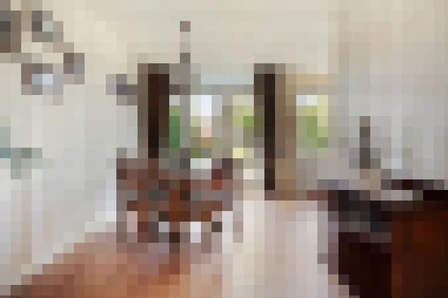 Entoshof 6 Rijssen thumbnail 15