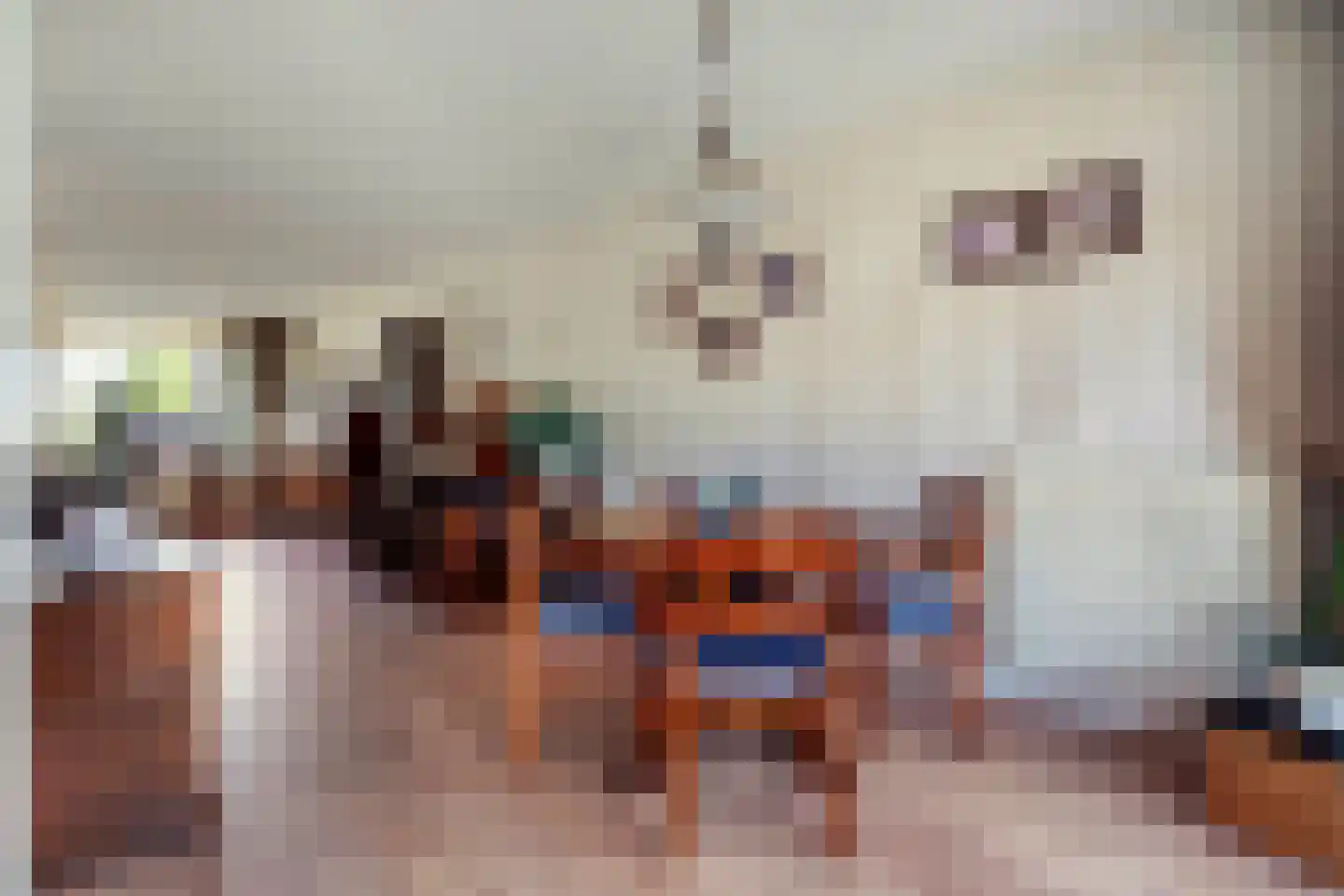 Entoshof 6 Rijssen thumbnail 16
