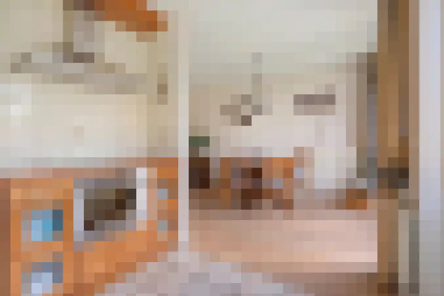 Entoshof 6 Rijssen thumbnail 21