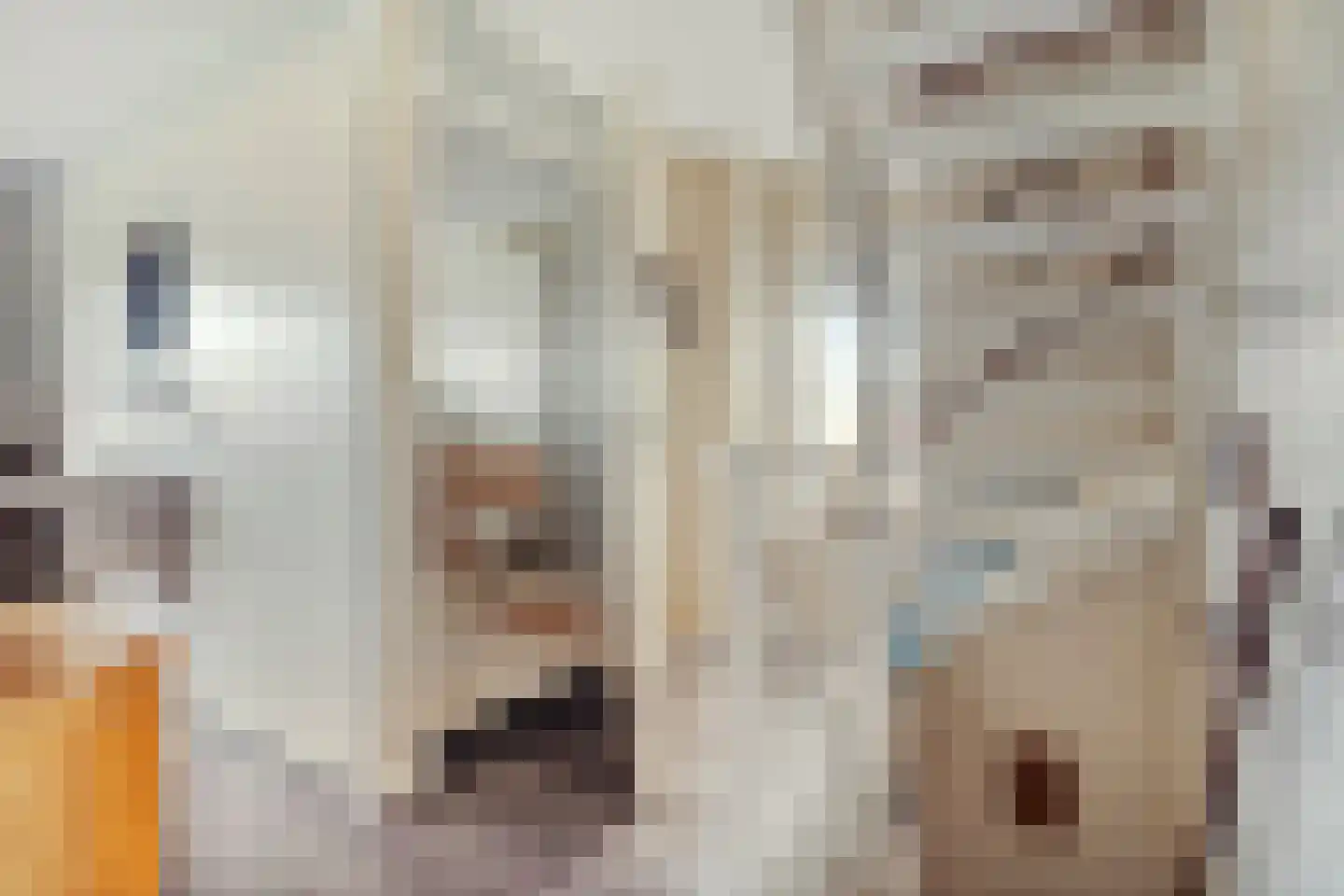 Entoshof 6 Rijssen thumbnail 25