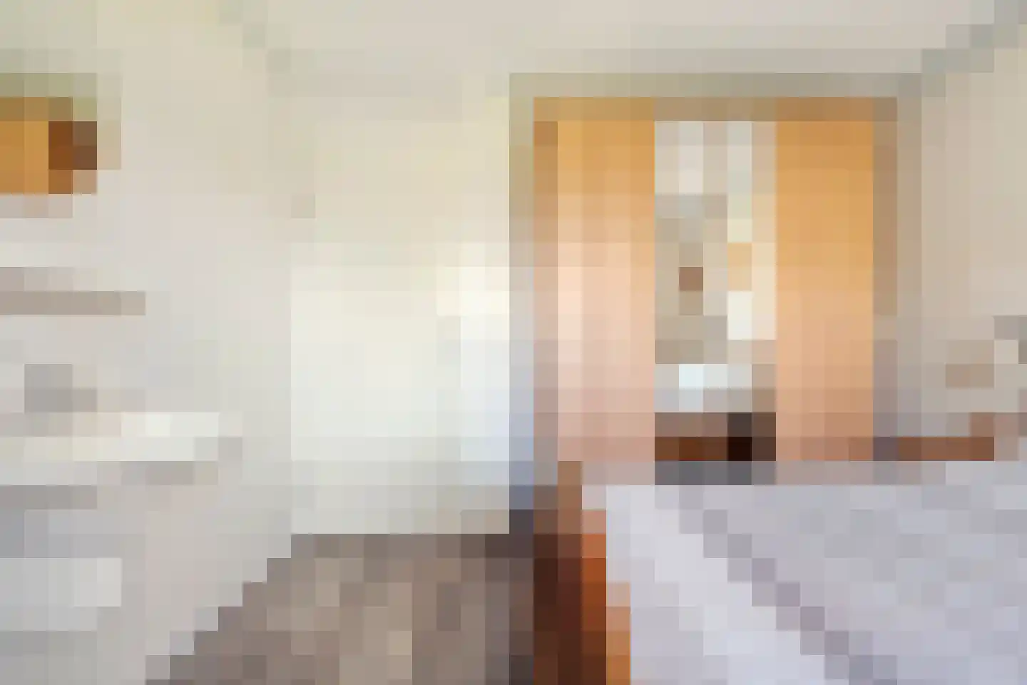 Entoshof 6 Rijssen thumbnail 28