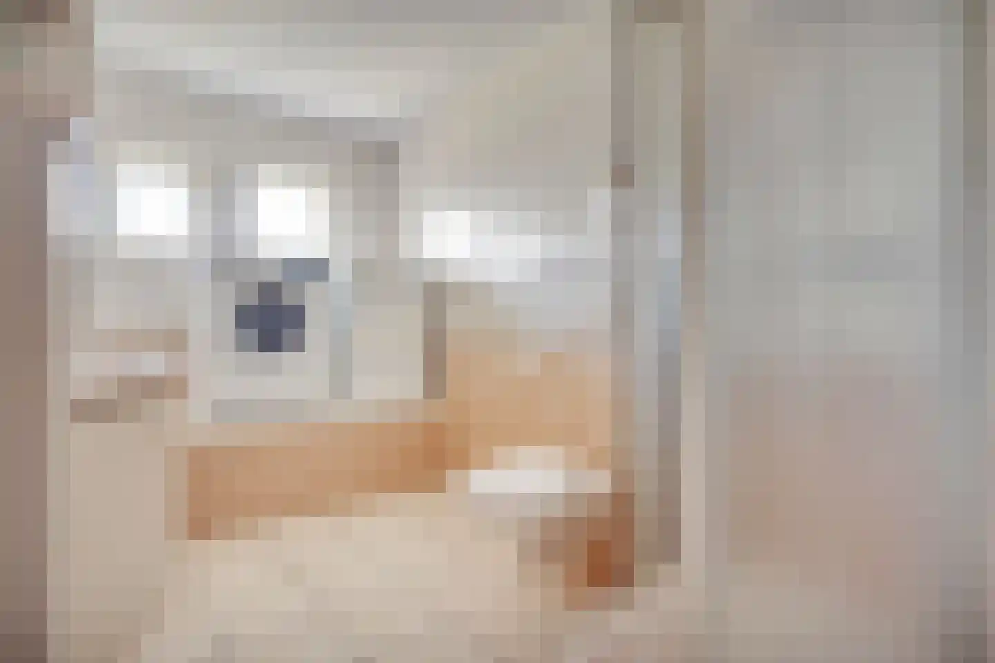 Entoshof 6 Rijssen thumbnail 33