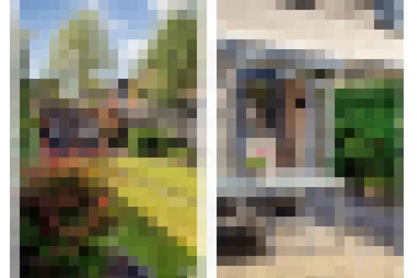 Entoshof 6 Rijssen thumbnail 46