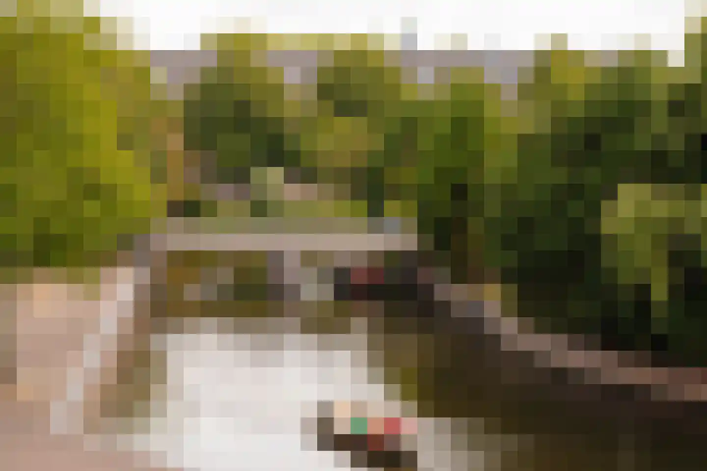 Entrepotdok 116 Amsterdam thumbnail 14