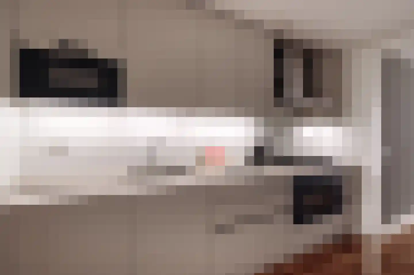 Entrepotdok 116 Amsterdam thumbnail 17