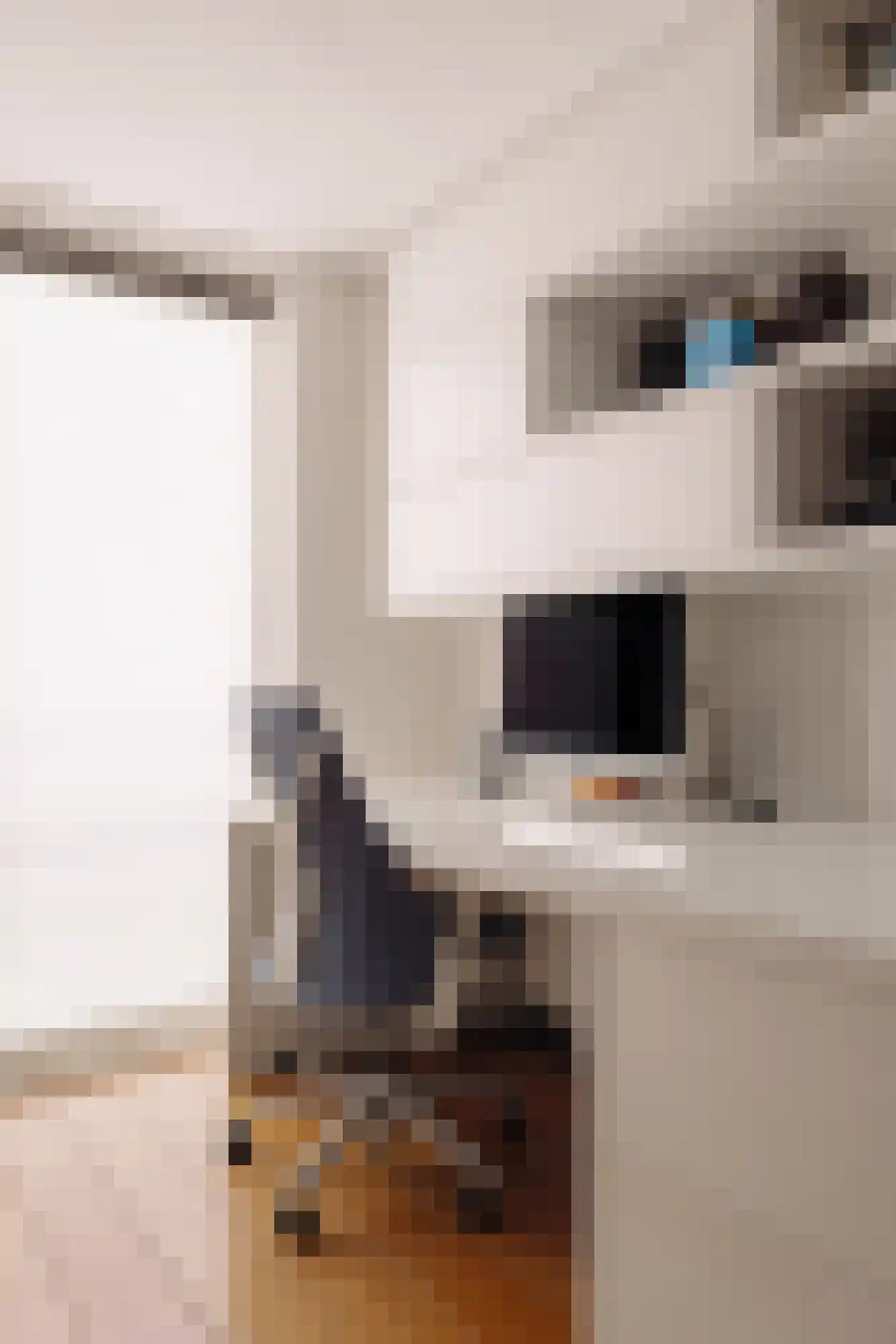 Entrepotdok 116 Amsterdam thumbnail 21