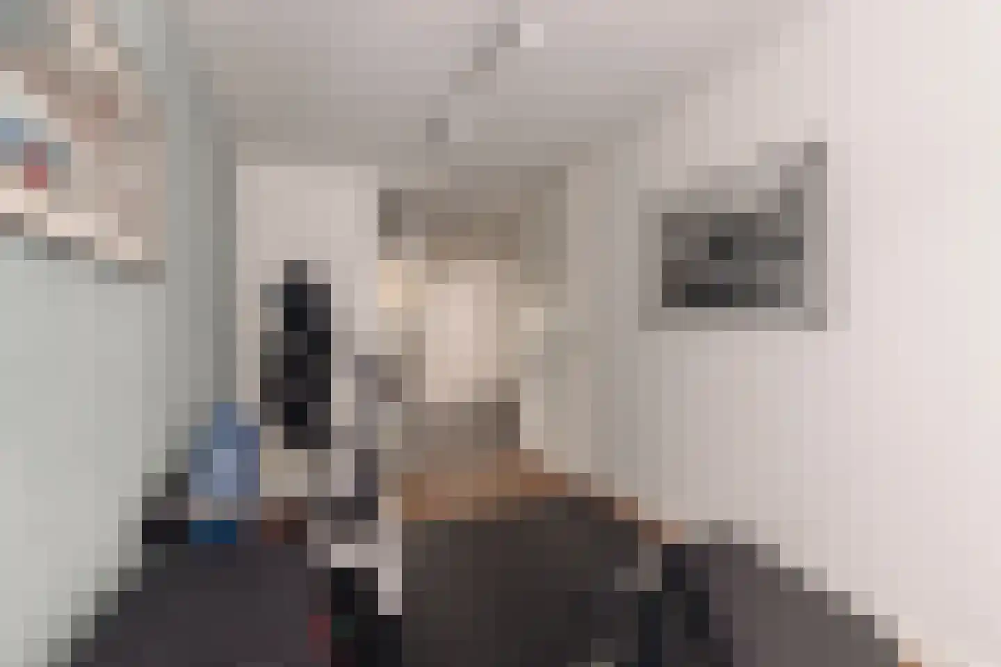 Entrepotdok 116 Amsterdam thumbnail 29