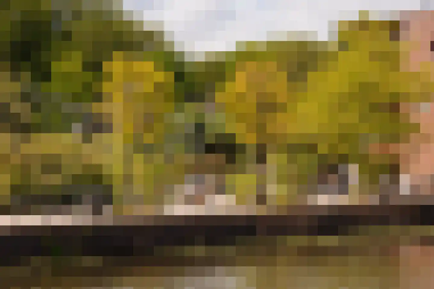 Entrepotdok 116 Amsterdam thumbnail 37