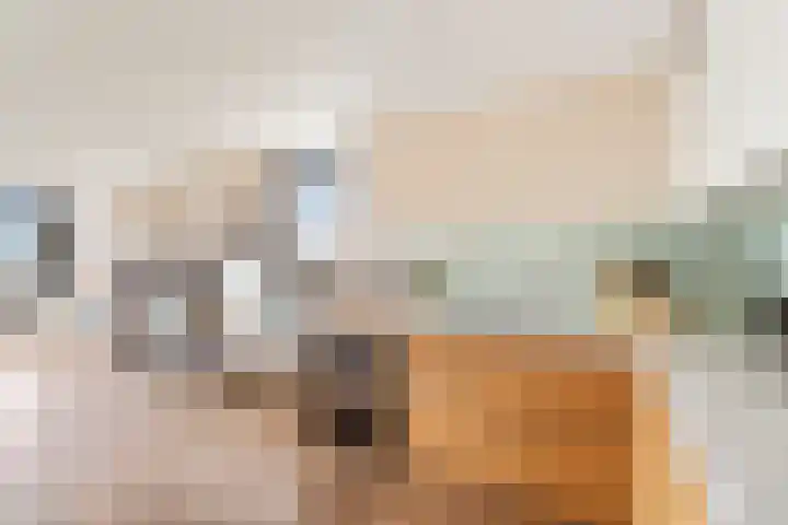 Entrepotdok 127 Amsterdam thumbnail 21