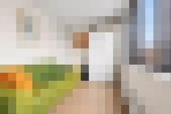 Entrepotdok 127 Amsterdam thumbnail 33