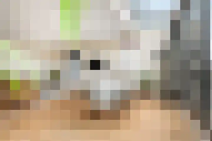 Entrepotdok 127 Amsterdam thumbnail 9