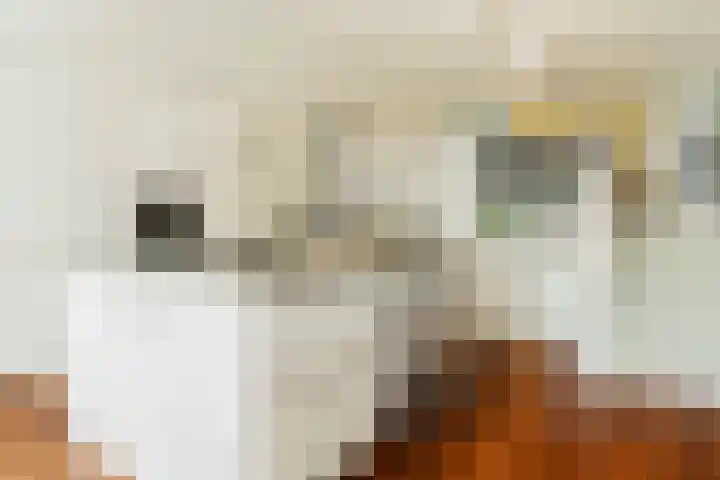Entrepotdok 148 Amsterdam thumbnail 10