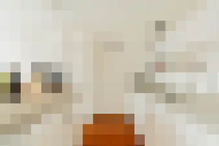 Entrepotdok 148 Amsterdam thumbnail 12