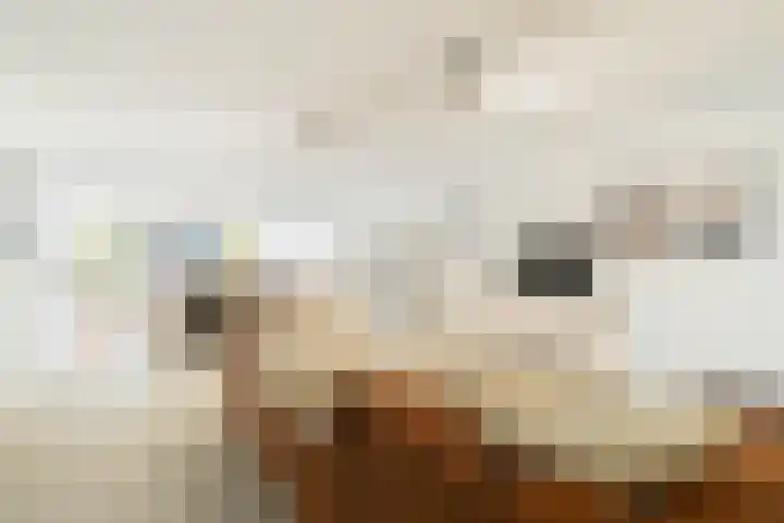 Entrepotdok 148 Amsterdam thumbnail 13