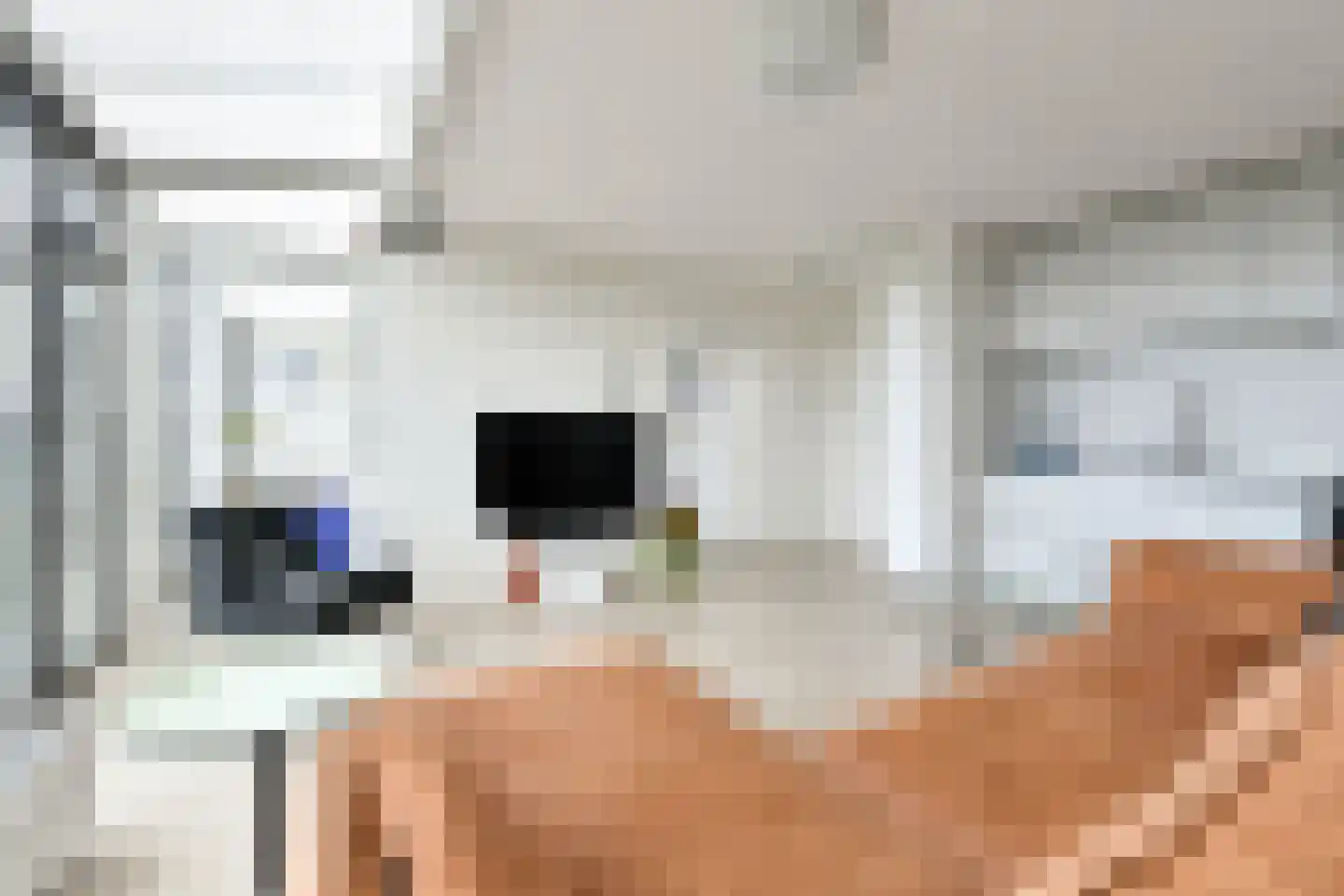 Entrepotdok 196 Amsterdam thumbnail 10