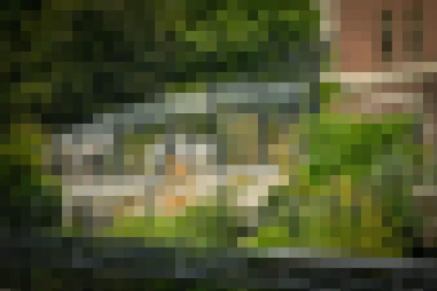 Entrepotdok 196 Amsterdam thumbnail 18