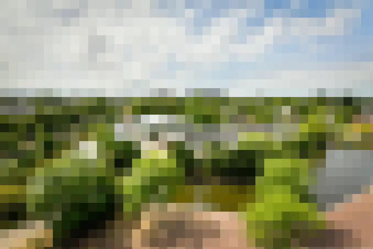 Entrepotdok 196 Amsterdam thumbnail 19